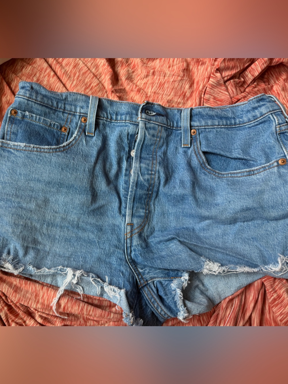 Levi Classic Blue Denim Cutoff Shorts - Women